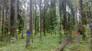 ScreenHunter_38 Jun. 18 16.40